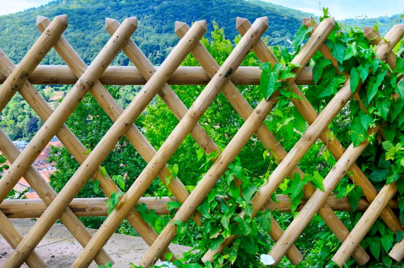 Garden Trellises